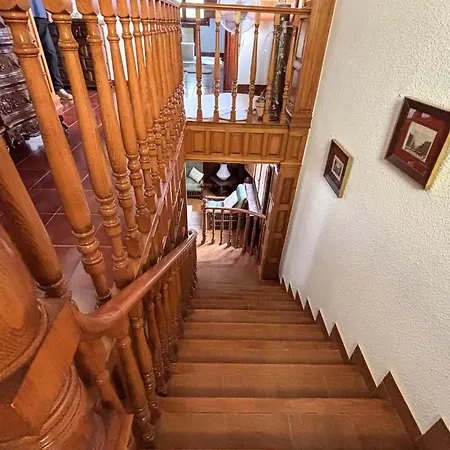 Pet Friendly In * Elda