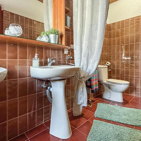 Pet Friendly In Elda